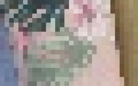 nittaya乳胶枕怎么样